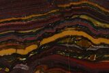 Polished Tiger Iron Stromatolite Slab - Billion Years #161861-1